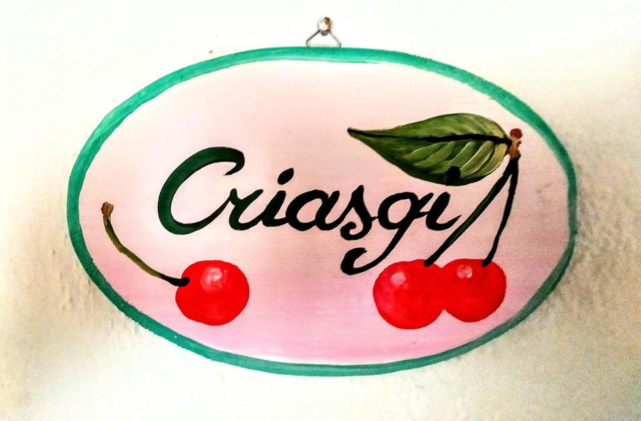 Gallura Experiences Li Criasgi Aggius 외부 사진